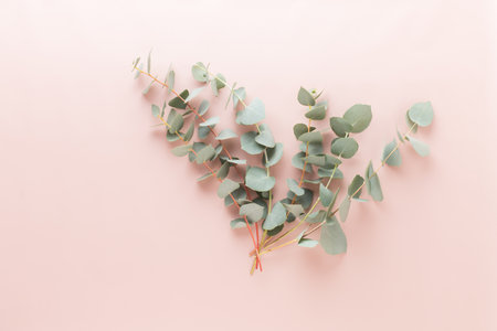 Flowers and eucaaliptus composition. Pattern made of various colorful flowers on white background. Flat lay stiil life.の写真素材