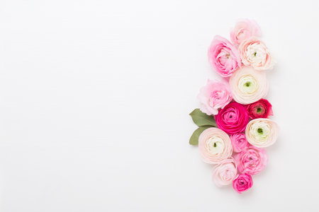 Beautiful colored ranunculus flowers on a white background. Valentines day greeting card.
