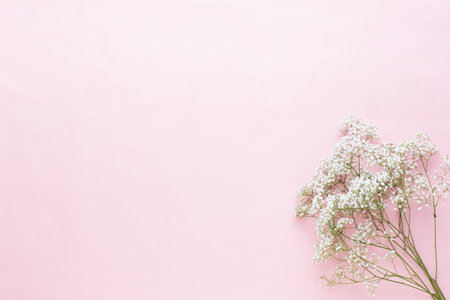 Flowers composition. Gypsophila flowers on pastel pink background. Flat lay, top view, copy spaceの写真素材