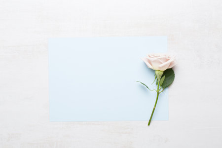 Flowers valentine day greeting card. Frame made of pink rose on gray background. Flat lay, top view, copy space.の写真素材