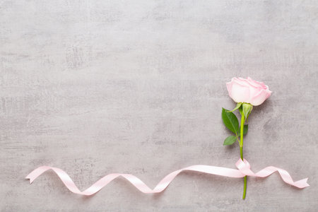 Spring greeting card, pastel color rose on the gray background.  Flower greeting card. Flat lay.の写真素材