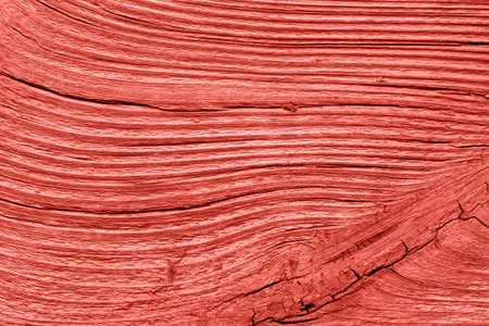 Vintage living coral wood texture. Abstract background.の写真素材
