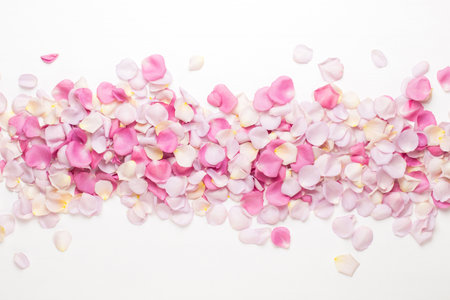 Pastel rose flowers petals on white background. Flat lay, top view, copy space.の写真素材