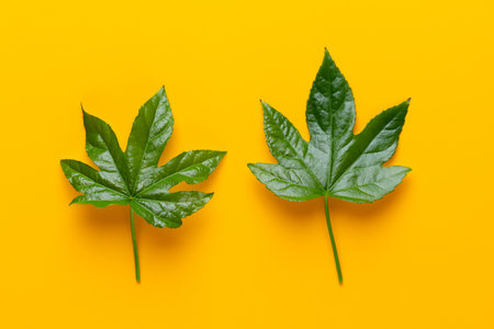 Green plant leaves on the yellow background. Retro vintage style.