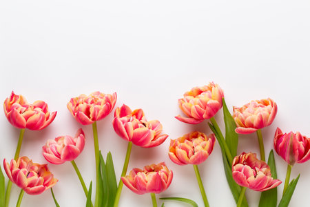 Spring flowers. Tulips on pastel colors background. greeting card Retro vintage style. Mother day, easter greeting card.の写真素材