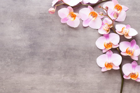 Spa background with a space for a text. Spa wellnes greeting card. aromatherapy theme , handmade cosmeticの写真素材