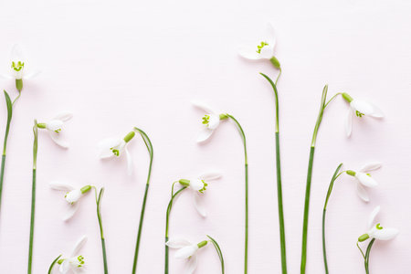 Fresh snowdrops on pink background with place for text. Spring greeting card. Flat lay.の写真素材