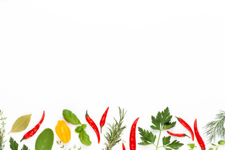 Spice herbal leaves and chili pepper on white background. Vegetables pattern. Floral and vegetables...