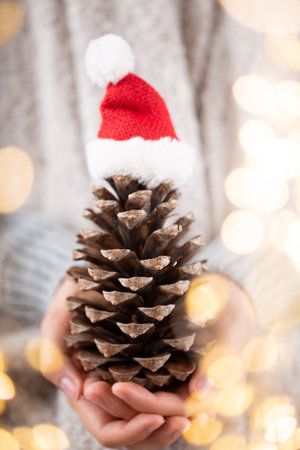 Winter Concept Young Hands Holding christmas decor.の写真素材