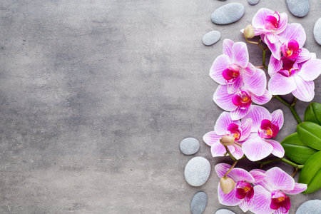 Orchid and spa stones on a stone background. Spa and wellness scene.の写真素材