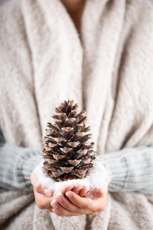 Hands holding christmas decor.の写真素材