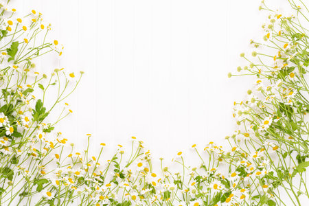 Chamomile flowers on white background. Flat lay.の写真素材