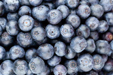 Fresh blueberries background with copy space for your text. Border design. Vegan and vegetarian concept.の写真素材