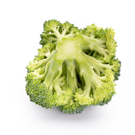 Broccoli isolated on a white background.の写真素材