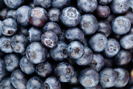 Fresh blueberries background with copy space for your text. Border design. Vegan and vegetarian concept. Macro texture of blueberry berries. Summer healthy food. Banner.の写真素材