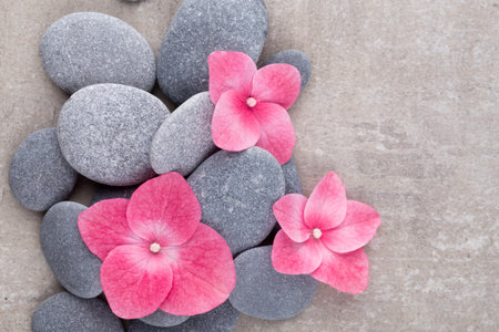 Close up view of spa theme objects on grey background.