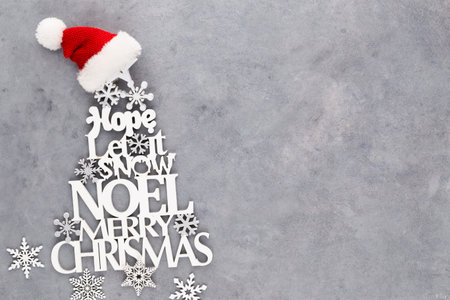 Christmas tree, Noel wish, spruce of the letters.の写真素材