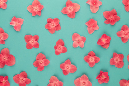 Flowers composition. Pattern made of pink flowers background. Flat lay, top view, copy space.の写真素材