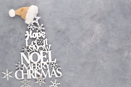 Christmas tree, Noel wish, spruce of the letters.の写真素材