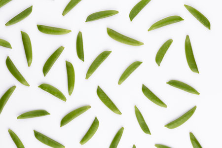 Pea isolated on a white background.の写真素材