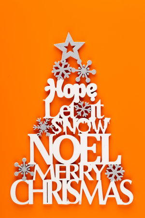Christmas tree, Noel wish, spruce of the letters.の写真素材