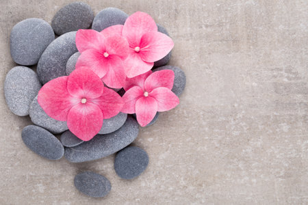 Close up view of spa theme objects on grey background.の写真素材
