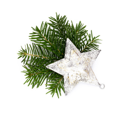 Pine cones and fir tree branch on a white background.の写真素材