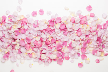 Pastel rose flowers petals on white background. Flat lay, top view, copy space.の写真素材