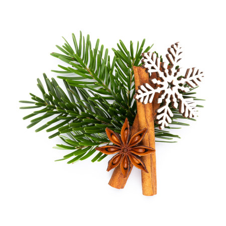 Pine cones and fir tree branch on a white background.の写真素材