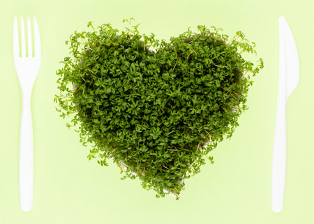 Alfalfa seed sprouts, healthy diet superfood and clean eating concept, heart shaped seed sprouts top view.の写真素材