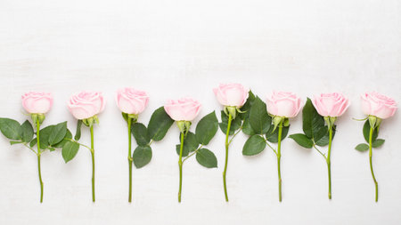 Spring greeting card, pastel color rose on the gray background.  Flower greeting card. Flat lay.の写真素材