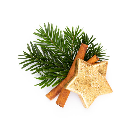 Pine cones and fir tree branch on a white background.の写真素材