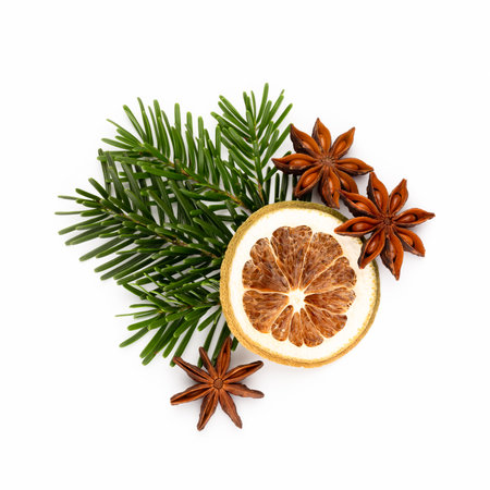 Pine cones and fir tree branch on a white background.の写真素材