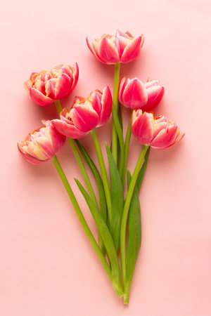 Spring flowers. Tulips on pastel colors background. greeting card Retro vintage style. Mother day, easter greeting card.の写真素材