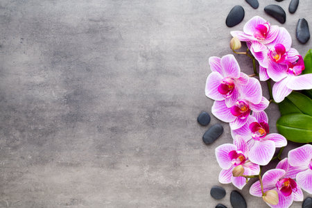 Orchid and spa stones on a stone background. Spa and wellness scene.の写真素材