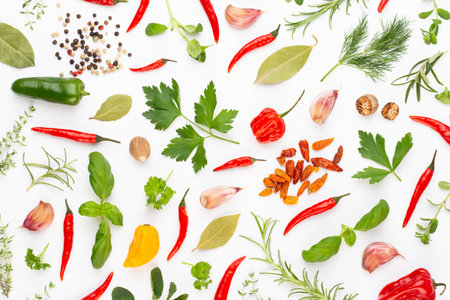 Spice herbal leaves and chili pepper on white background. Vegetables pattern. Floral and vegetables on white background. Top view, flat lay.の写真素材