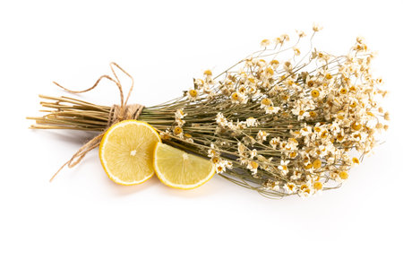 Natural cosmetics with lavender and pomegranate, for homemade spa on white background top view mock up.の写真素材