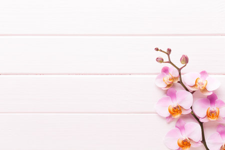 Orchid flower on the wooden pastel background. Spa and wellness scene.の写真素材