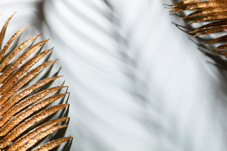 Gold palm leaves and shadows on a blue wall background.の写真素材