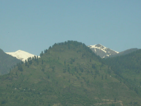 a temperate green forest in the mountain rangeの写真素材