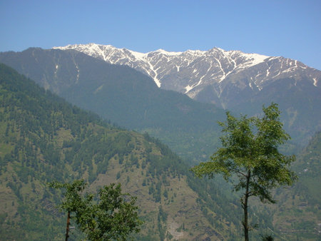 green forest near the mountain rangeの写真素材