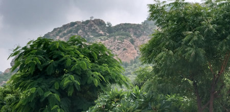 a wayside view when on a journeyの写真素材