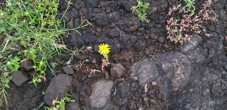 a rocky landscapeの写真素材