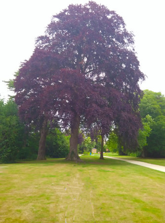 visiting an european gardenの写真素材