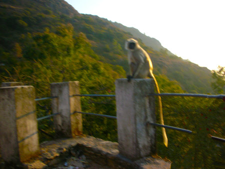 waiting for my familyの写真素材