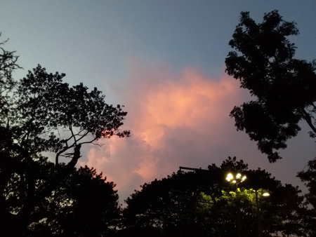 a study of sky before rainsの写真素材