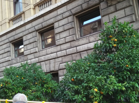 a facade in Parisの写真素材