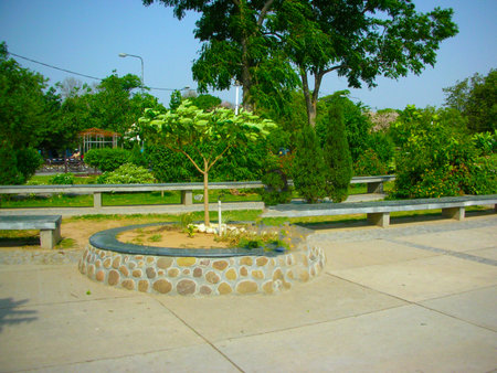 visiting a park during the dayの写真素材