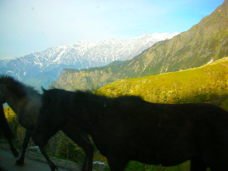 the mountain range in summerの写真素材