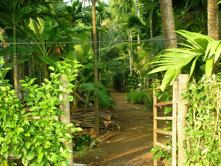 a gate to an outdoor parkの写真素材